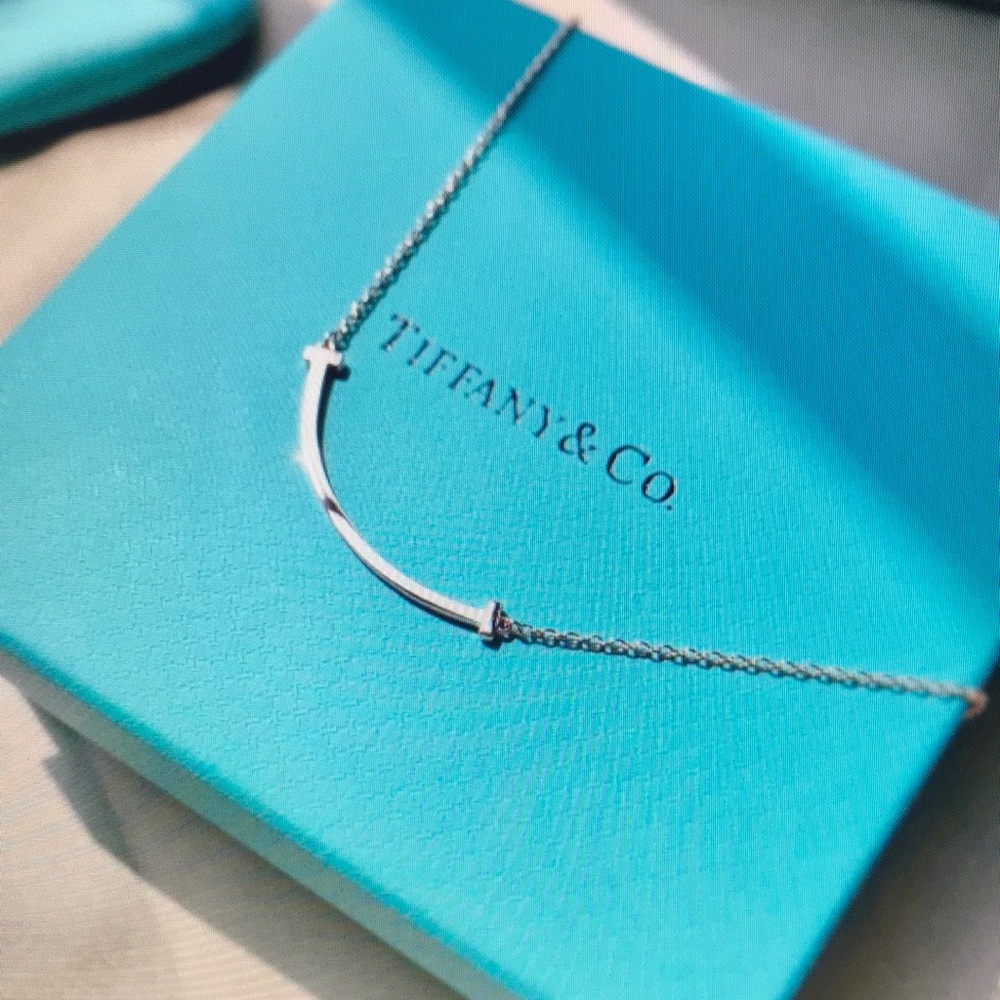 Tiffany & Co. Sterling Silver Curve Bar Necklace in Blue